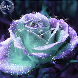 BELLFARM Rare Light Blue and Purple Japanese Rose Flower Seeds, Professiona