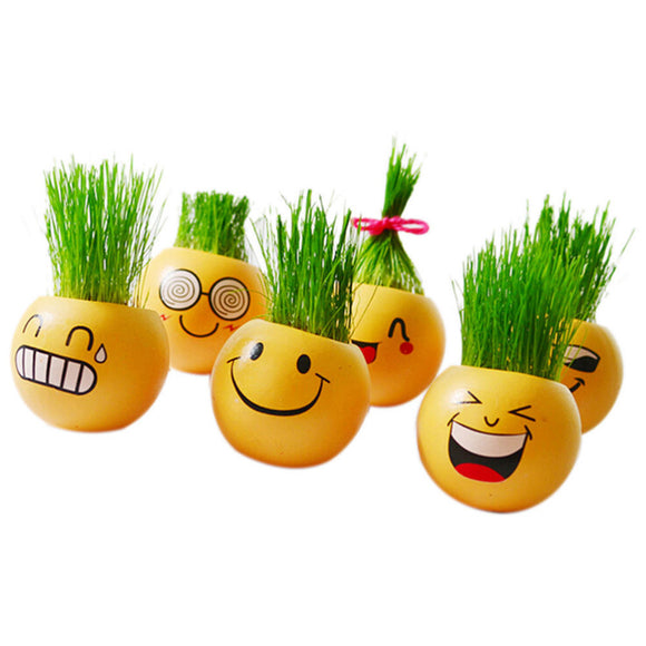 New Style Ceramic Cartoon Emoji Print Flower Pot with Magic Grass Plant Pot