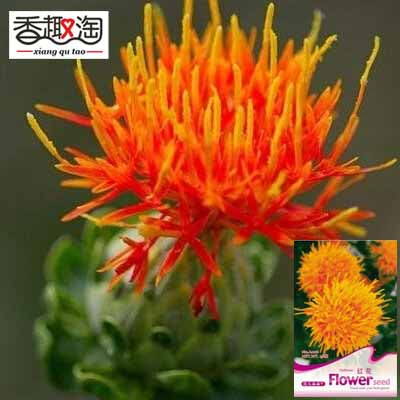 1 Original Pack 40 Seeds safflower, medicinal herb flower seeds-in Bonsai f