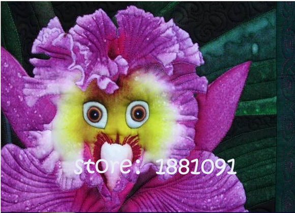 World Top Rare Orchids, 20 Seed Mixed Color Potted Orchids Flowers Seeds fo