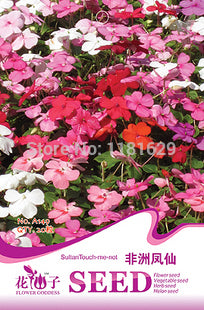 (Mix minimum order $5)1  African impatiens seeds,Colorful Garden Balsam Flo