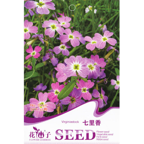 Virginia Stock  (Mixed) Seed * 1 Packet 50 Seeds * Matthiola Bicornis * Har