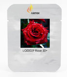 Strong Fragrant Red Rose Flower Seeds, Professional Pack, 50 Seeds / Pack,
