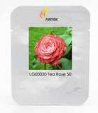 Light Fragrant Garnet Tea Rose Flower Seeds, Professional Pack, 50 Seeds /