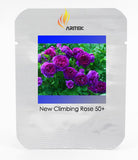 New Dark Purple Climbing Rose Perennial Flower Organic Seeds, Professional