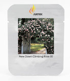 New Dawn White Pink Climbing Rose Plant Flower Seeds, Professional Pack, 50