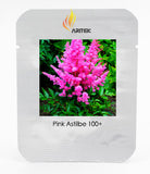 Younique Cerise Pink Astilbe Perennial Flower Seeds, Professional Pack, 100