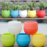 Mini round Shaped Plastic Office Decor Succulents Flower Seed Planter Pot-i