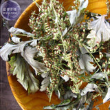 BELLFARM Heriloom Herbs Plant Mugwort Seeds, Professional Pack, 100 Seeds,