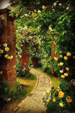 Flower Seeds100 Yellow Climbing Roses Seeds semenatsvety garden Bright and