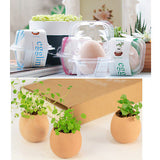 DIY Indoor Egg Bonsai Garden Beautiful Flower Seeds Plant for Home Office D