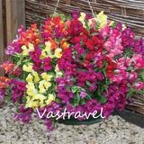 Mixed Color Snapdragon Antirrhinum  1000 Pcs  Flower Seeds  / Bag  Easy to