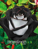 Loss Promotion!Rare White Black Edge Rose Seeds Plants Potted Rose Flower S