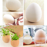 DIY Indoor Egg Bonsai Garden Beautiful Flower Seeds Plant for Home Office D