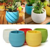 Mini round Shaped Plastic Office Decor Succulents Flower Seed Planter Pot-i