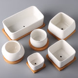 Kawaii ceramic White Flowering pots with wooden tray Potted Flowers Seeds L