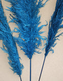 New Rare Impressive blue Pampas Grass Seeds Ornamental home garden Plants F