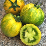 Tomato Seeds Edible Fruits Vegetable Seed,Flower Skin Ball Tomato Plant Rar