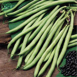 Climbing flowers white sauteed green beans seed pods balcony potted vegetab