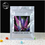 Flower seeds Delphinium Mix   Delphinium Cultorum Family garden Potted plan