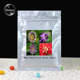 Fruit seeds Passion Flower Seeds Vine Colorful flowers Fruit Passiflora bon