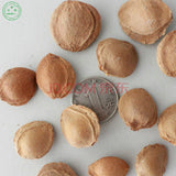 Wholesale 100% authentic Apricots seeds flower seeds rare plants, Bonsai o